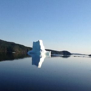 Meet your Posher, Stephen